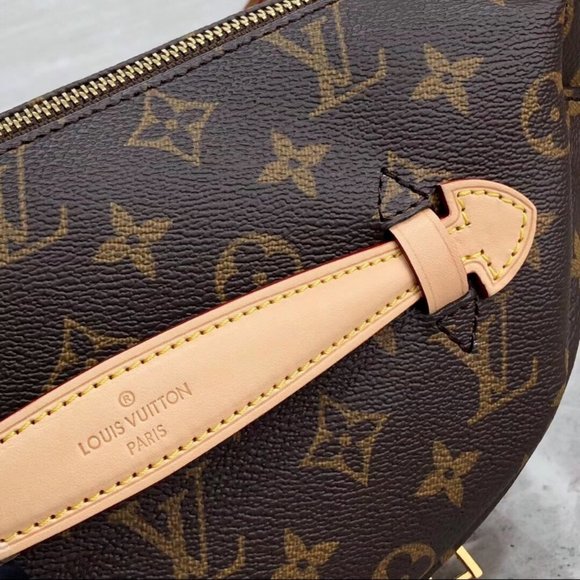 LV Waist Bag Medium Monogram - Picture 3 of 7